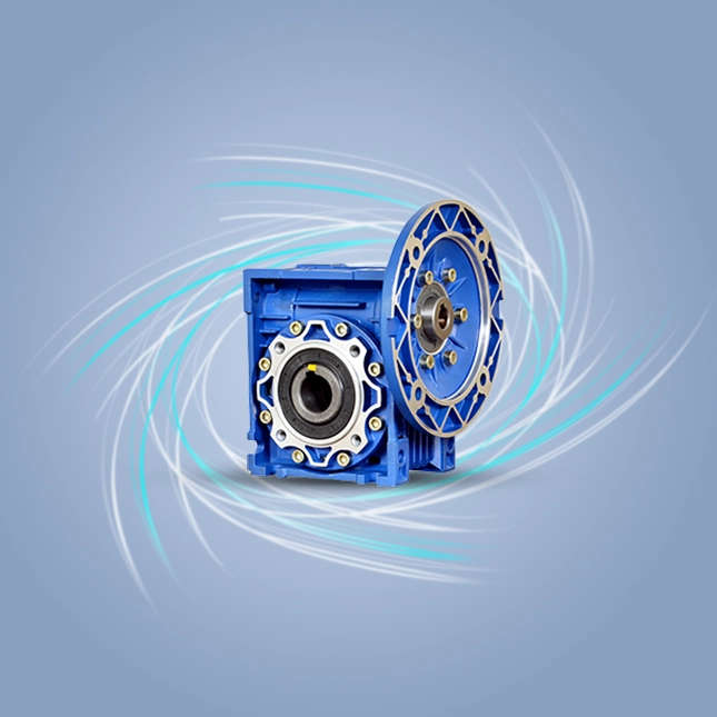 Special Worm Gearbox