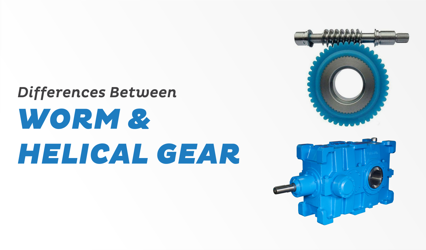 differences between helical and worm
